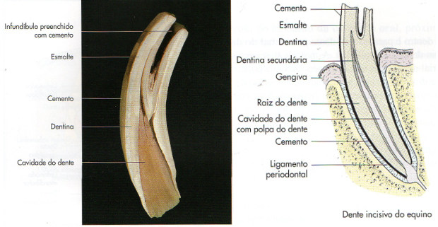 figura-3-4