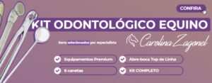 kit-odontologico-equino-carolina-zagonel